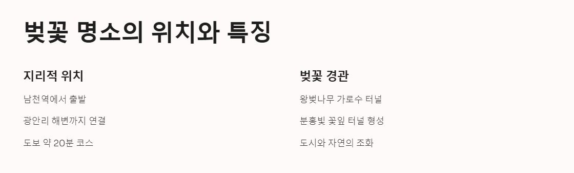 광안리 남천동 벚꽃거리 주차 맛집 꿀팁 총정리