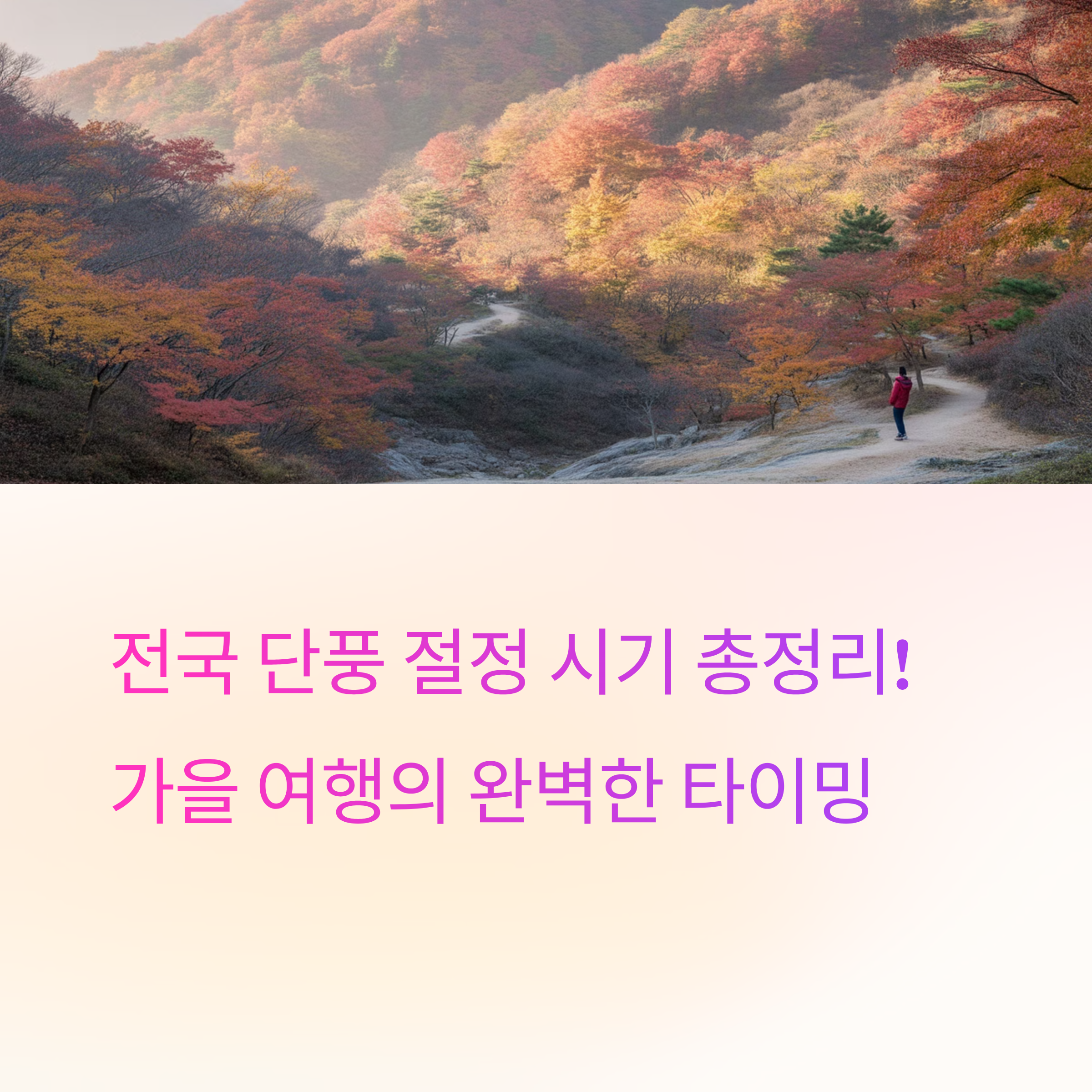 전국 단풍 절정 시기 총정리! 설악산·내장산·지리산 등 인기 명소 5곳 비교