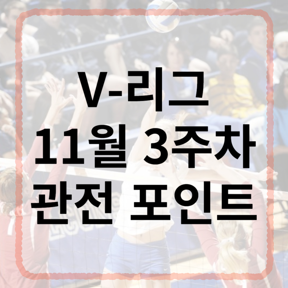 V리그 11월 3주차 관전 포인트