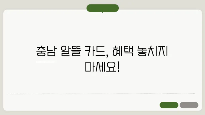 충남형 알뜰 교통카드 사용법과 혜택, 지금 확인하세요 - 충남 알뜰 교통카드, 사용 방법, 혜택 안내