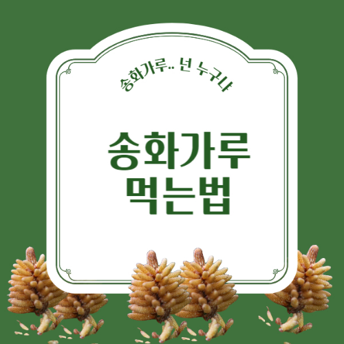 송화가루 효능과 먹는법