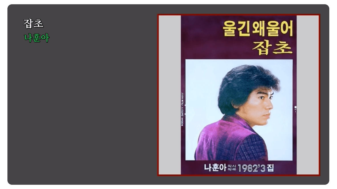 나훈아-노래모음