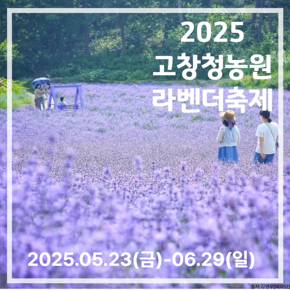 2025 고창청농원 라벤더축제, 향기로운 보랏빛 힐링!(5.23~6.29)