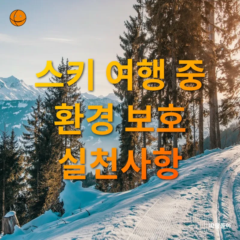 지속 가능한 스키 여행_3
