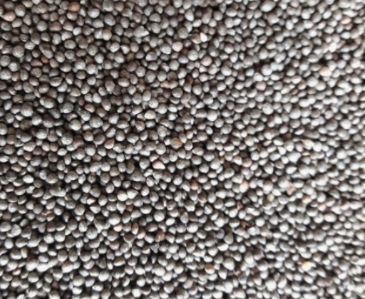 들깨 심는시기(파종시기, 심기방법, 재배방법, 수확하기) 깻잎키우기 총정리!