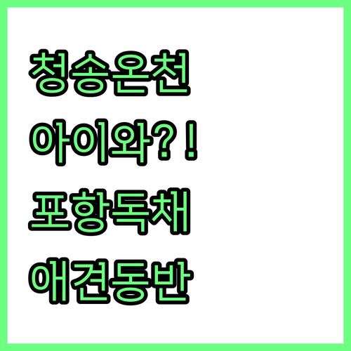 아이와 가기 좋은 소노벨 청송 온천 ..
