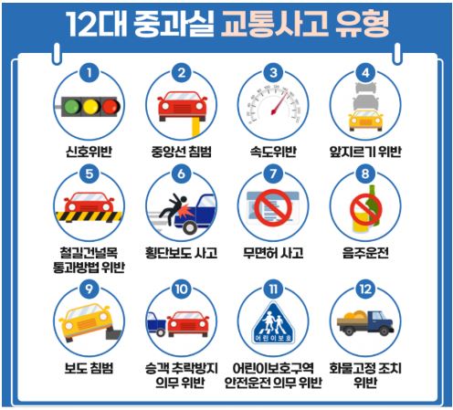 운전자-보험-12대-중과실