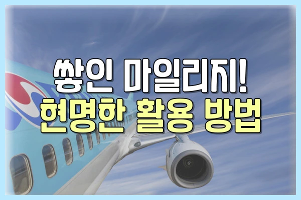 아시아나 마일리지