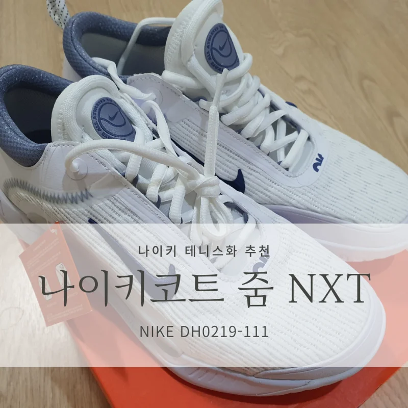 나이키코트 줌 NXT