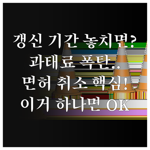 운전면허 적성검사 갱신 기간 조회 과..