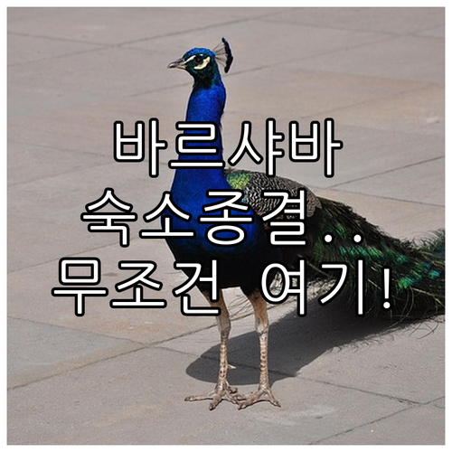 폴란드 바르샤바 숙소 추천 위치 좋은..