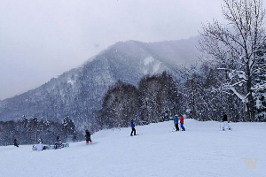 삿포로 축제정보 5