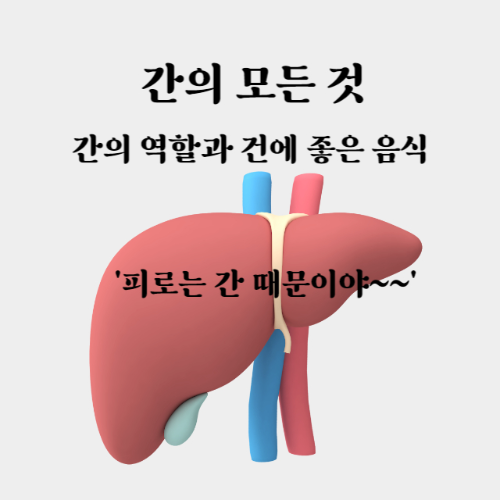 간에 좋음 음식-간이 나쁘면 나타나는 증상