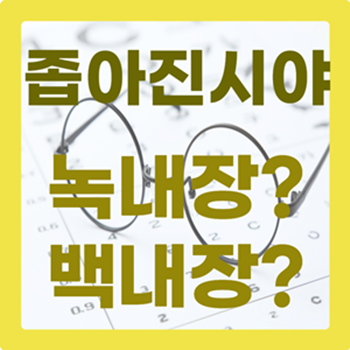 녹내장의 숨겨진 위험 이해하기 : 증상, 원인 및 예방 좁아지는 시야 눈 침침