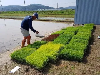 농사 병해충 예방법 진딧물 응애 노균병 탄저병 대처_4