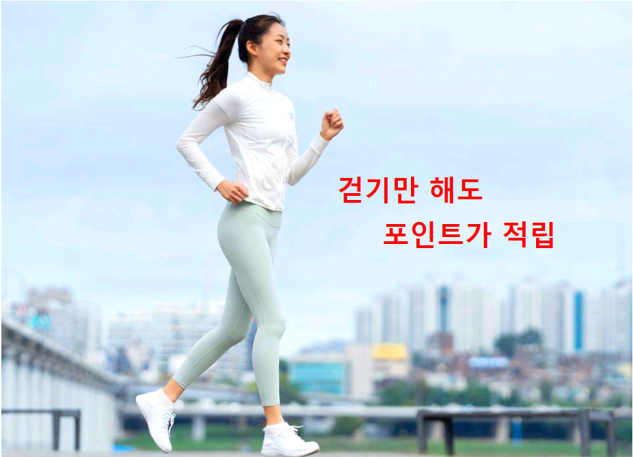 건강지원금