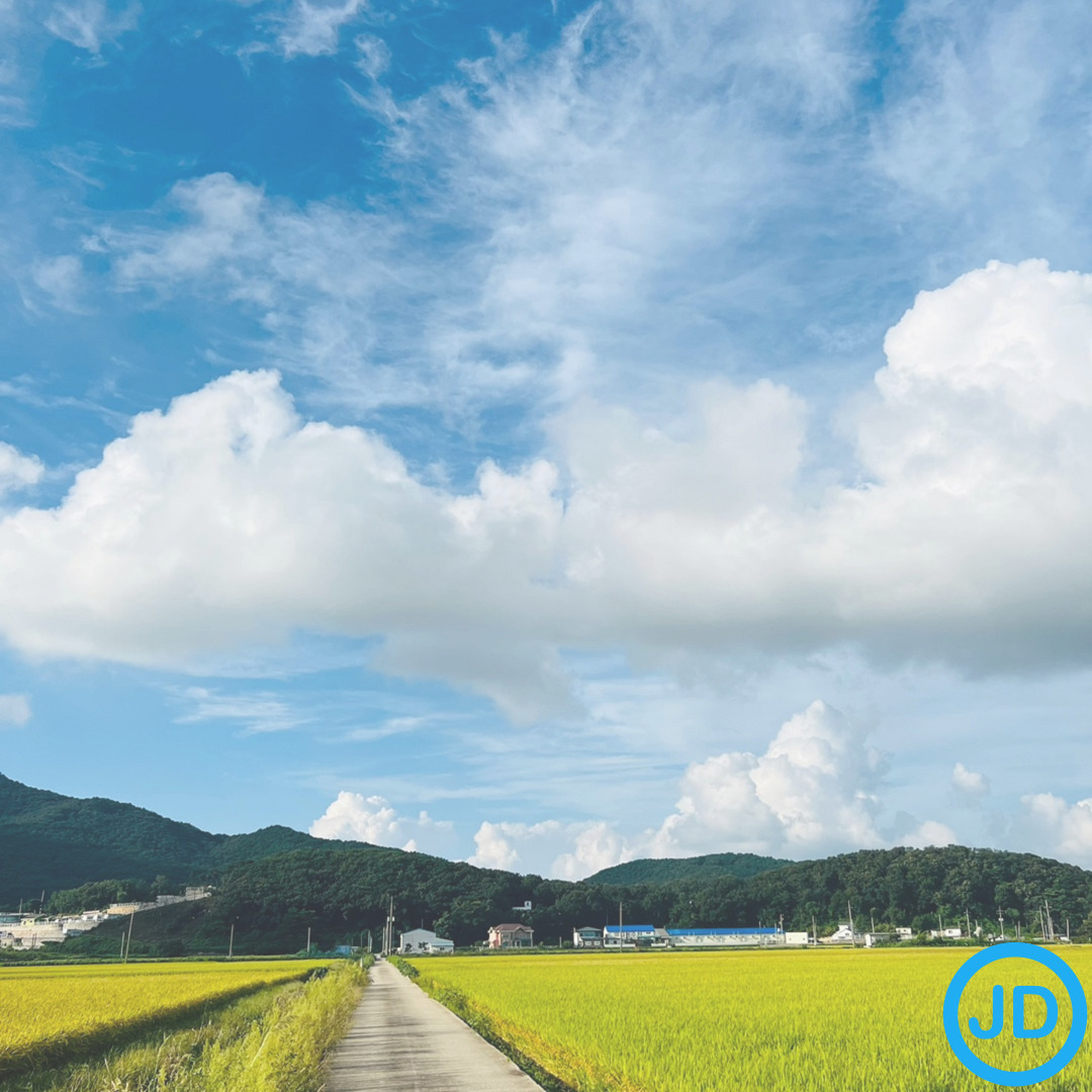 통풍약 종류별 효능&middot;부작용 차이 💊 콜킨&middot;페브릭정&middot;프로베네시드정 비교표
