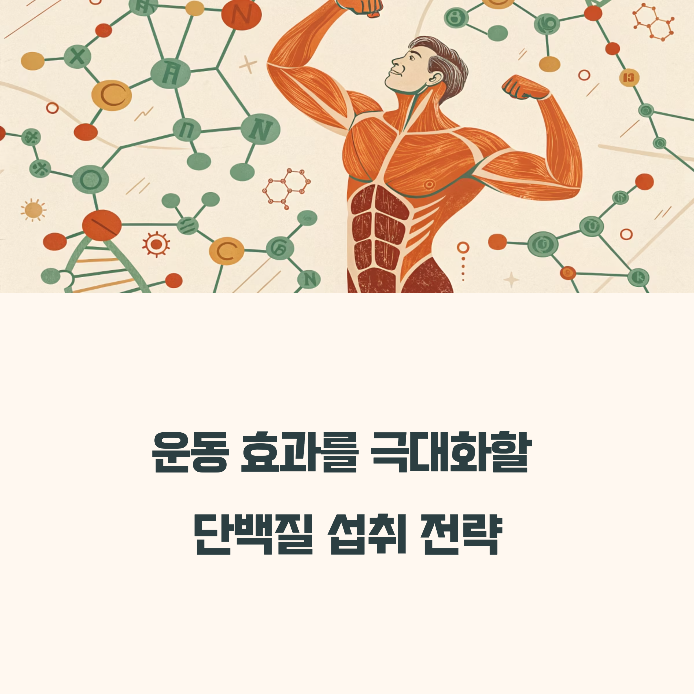 운동 효과 극대화