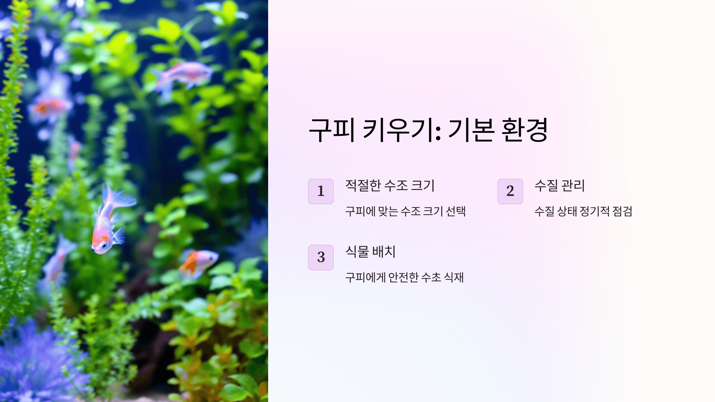 구피 사진입니다.