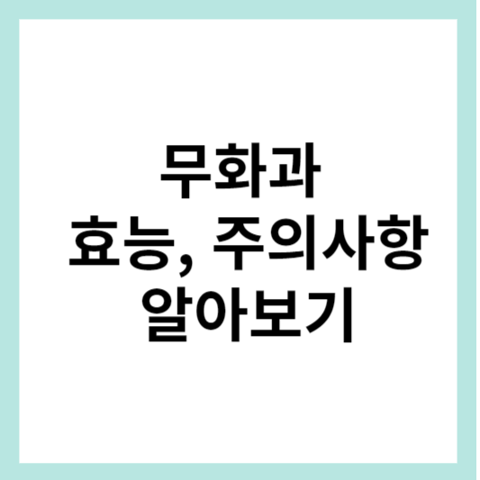 무화과의 효능