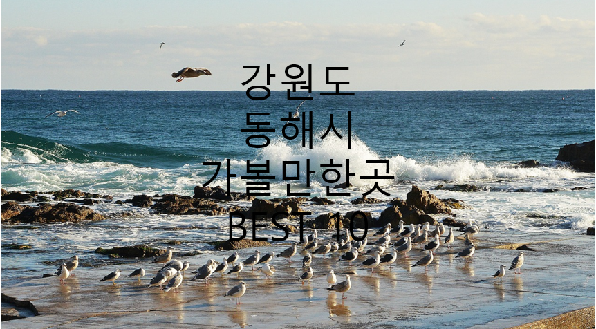 동해 바다 사진