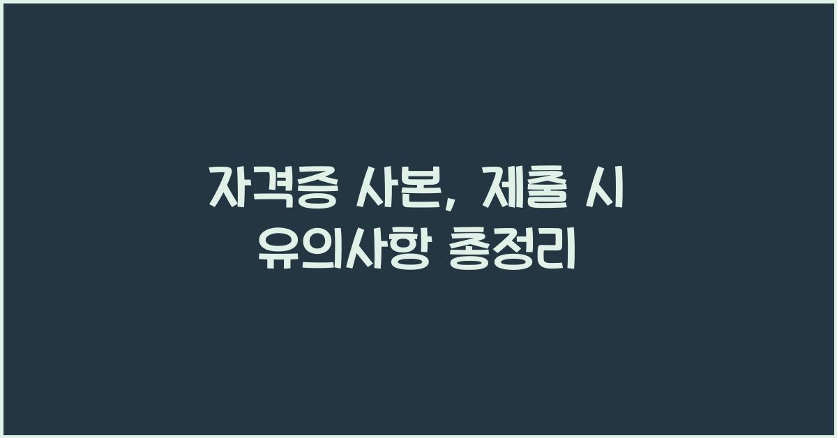 자격증 사본