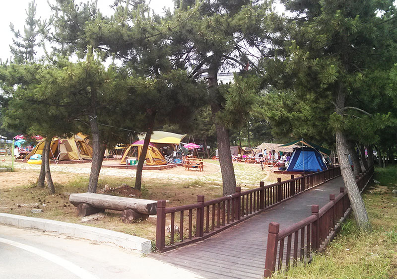 동해시 망상 오토캠핑리조트