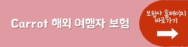 여행자보험 천재지변