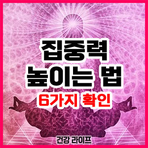 집중력 높이는 법