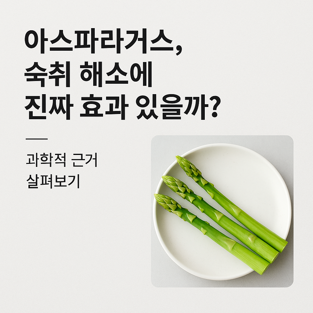 아스파라거스, 숙취 해소에 진짜 효과 있을까? 과학적 근거 살펴보기