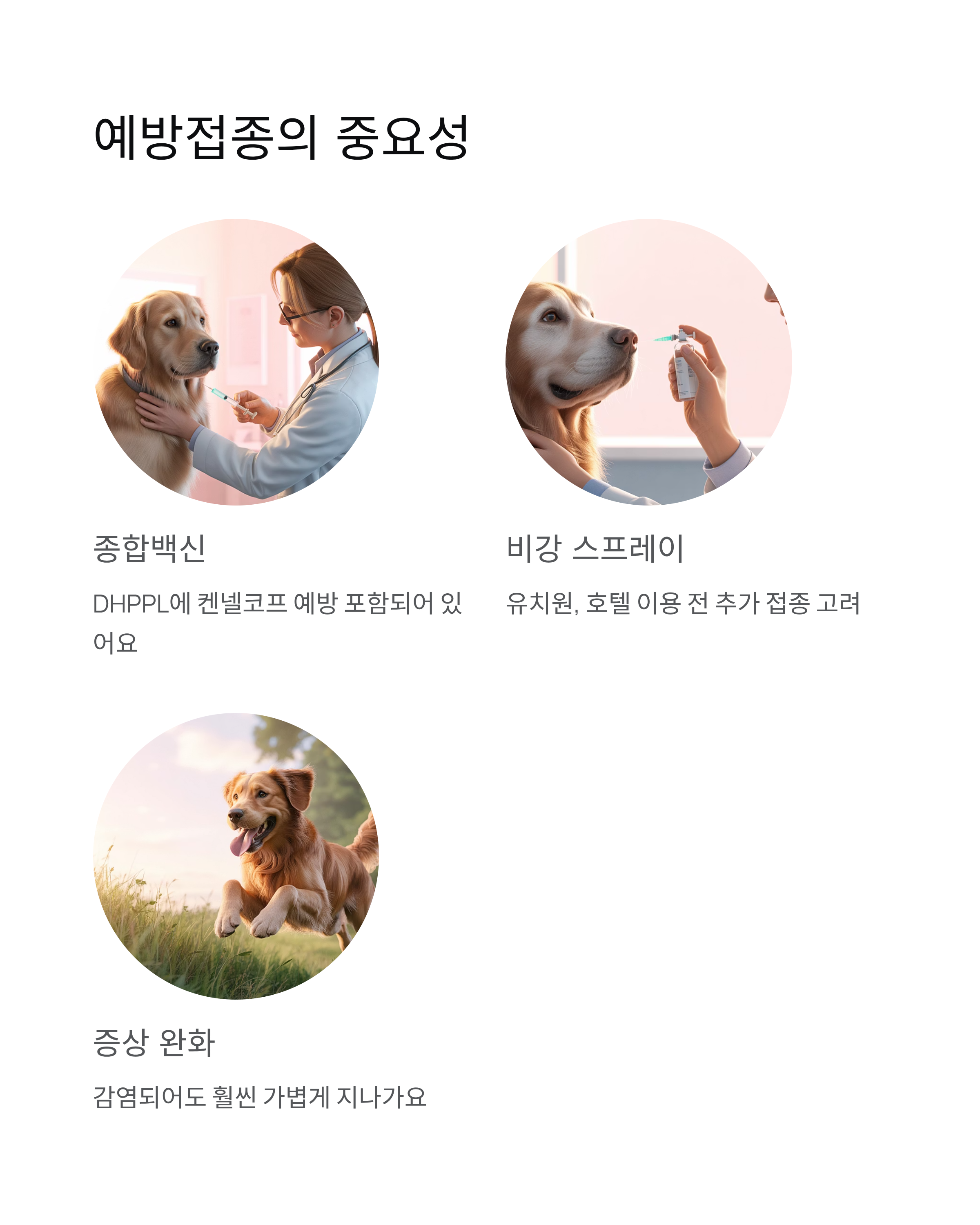 강아지 켄넬코프 증상과 치료 완벽 가이드 ❘ 우리 강아지 지키는 법