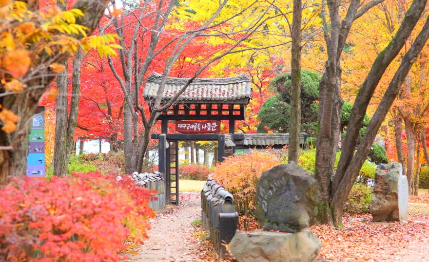 [단풍명소] 가을 여행지 베스트 50 - 서울, 경기도, 충남, 충북, 경북, 경남, 전남, 전북, 강원도, 제주