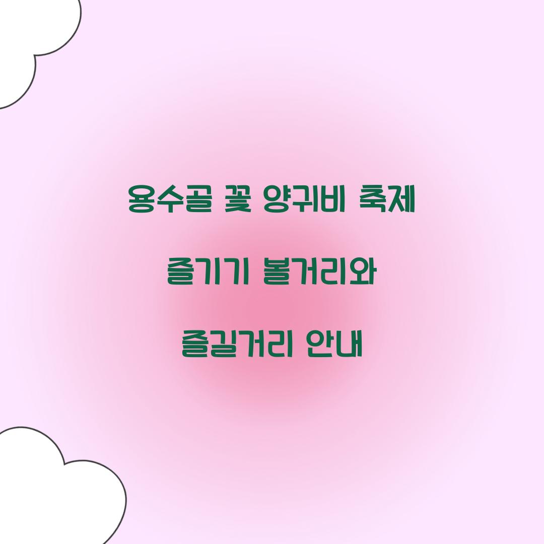 용수골 꽃 양귀비 축제