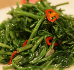 공심채 효능 부작용 고르는법 칼로리 다연채 모닝글로리