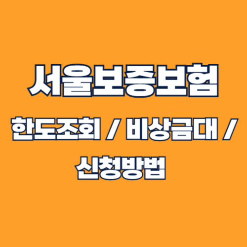 서울보증보험 한도 조회방법, 비상금 대출 서비스 및 거절 사유