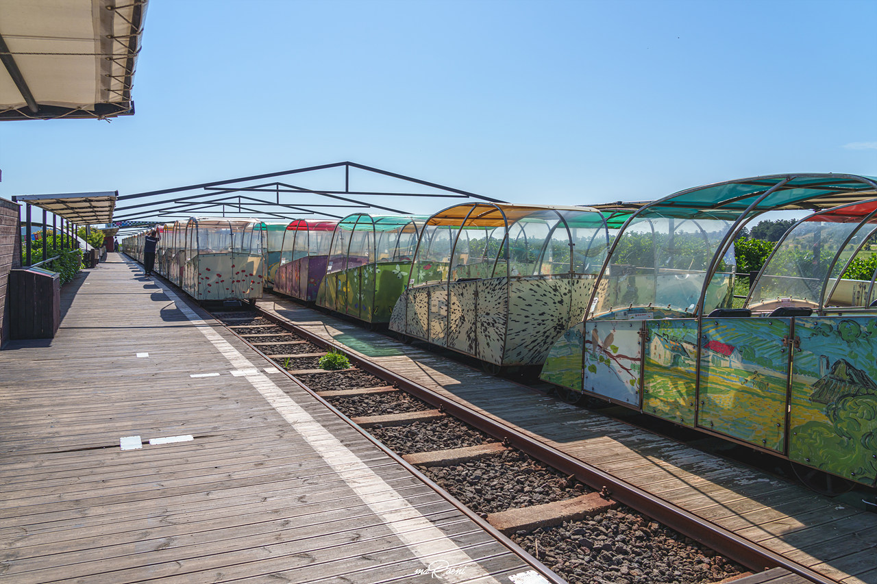 제주 레일바이크