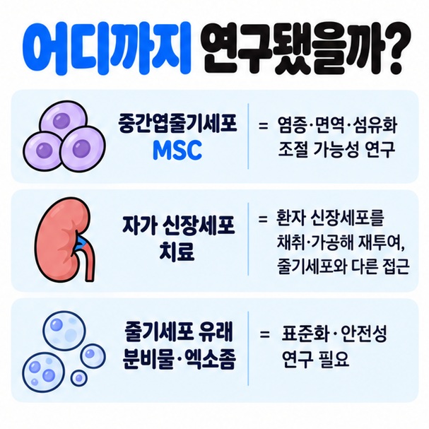 중간엽줄기세포 자가 신장세포 줄기세포 유래 분비물과 엑소좀의 연구 방향과 확인사항을 비교한 이미지