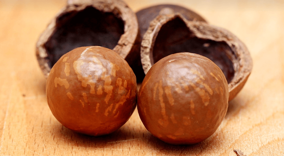 마카다미아 사진 - 2