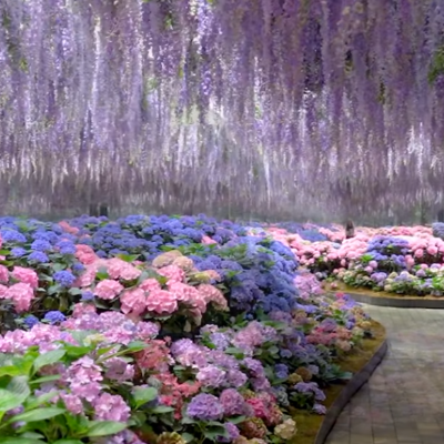 가평 베니아새정원