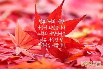 9월 인사말 모음 예시 문자_24