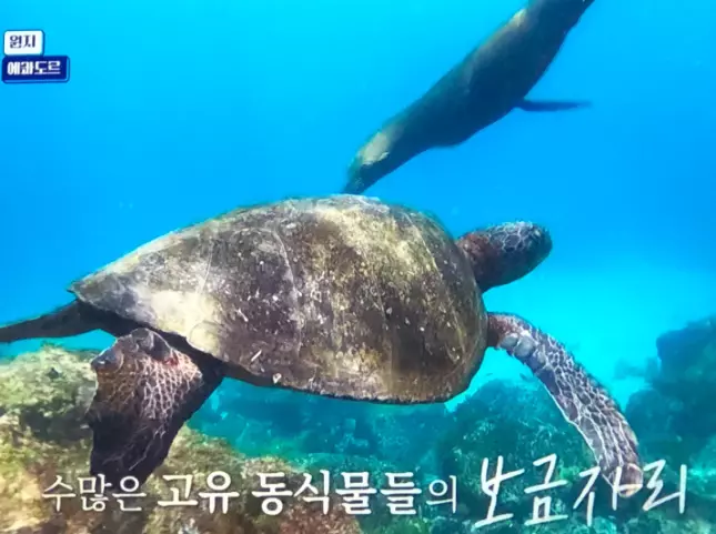 갈라파고스