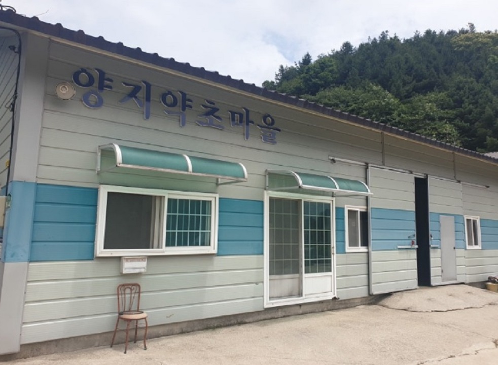 한국인의밥상-함양-지리산-산양삼-양지약초마을