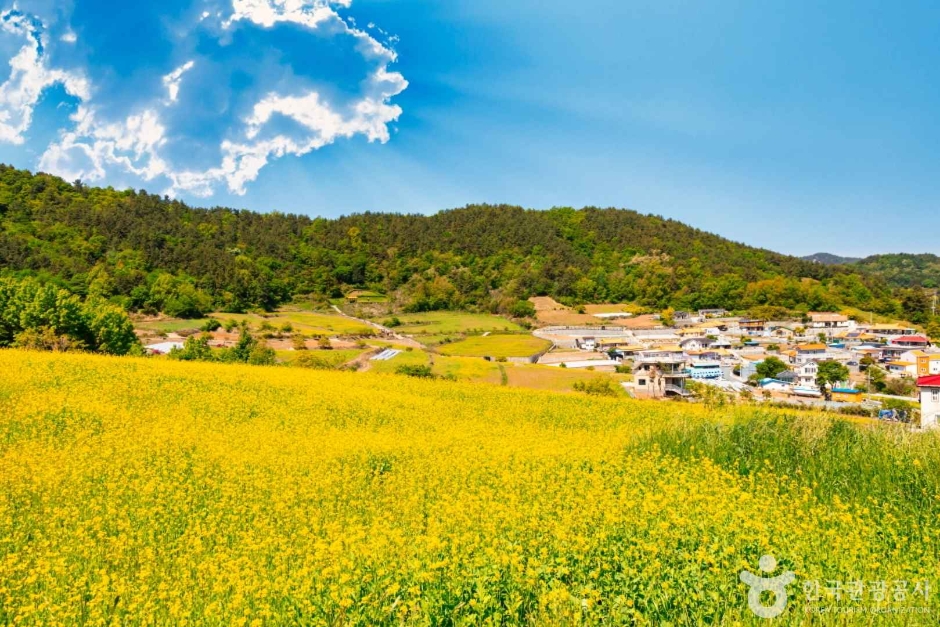 선학동마을