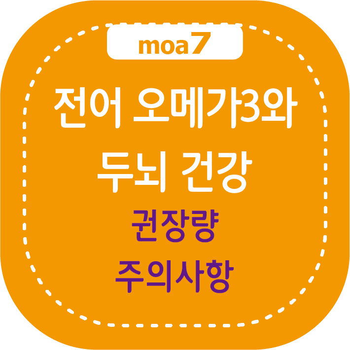 전어 오메가3와 두뇌 건강, 권장량, 주의사항