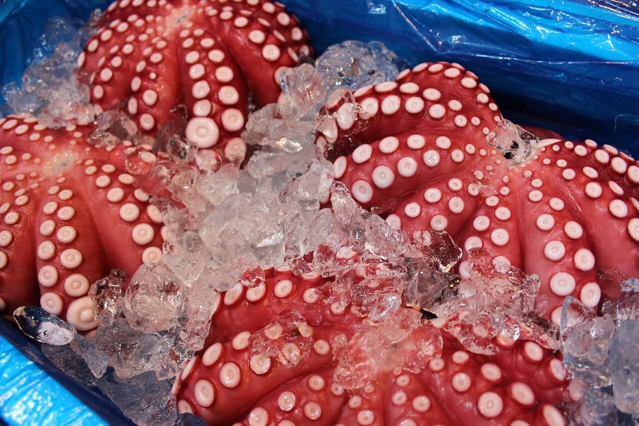 7월제철해산물