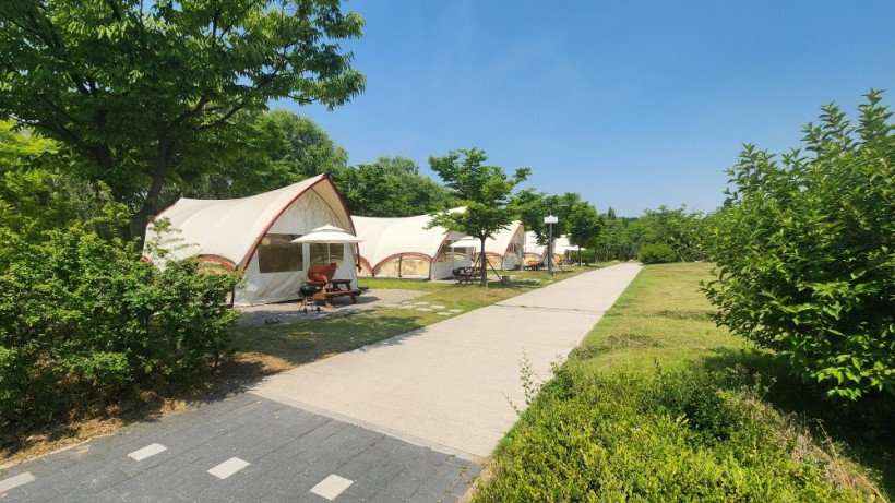 전국 반려견 동반 가을 산책 & 캠핑 명소 BEST 3