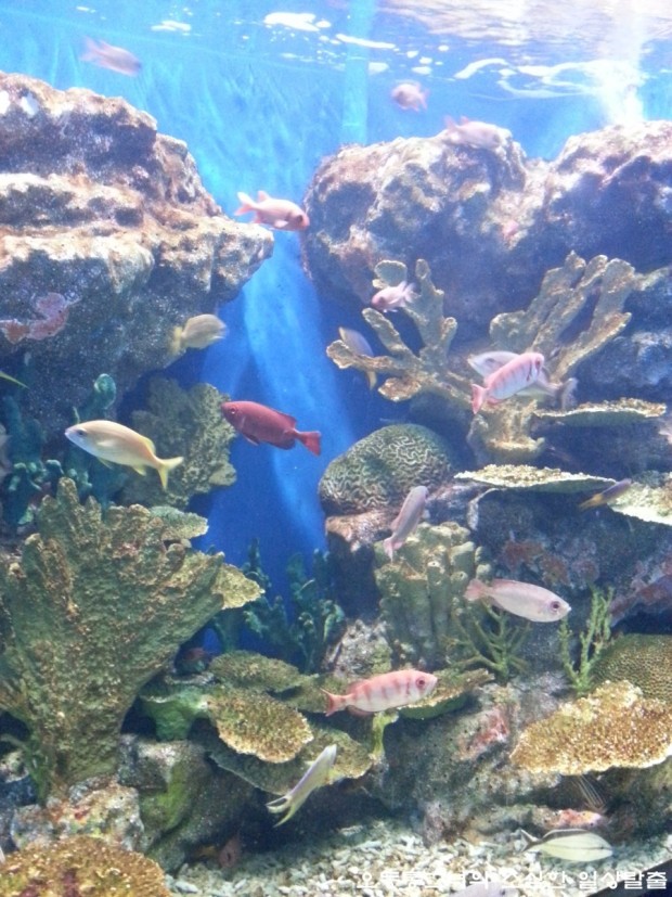 여수 가볼만한곳 베스트 10 : 여수 여행 1박2일 추천