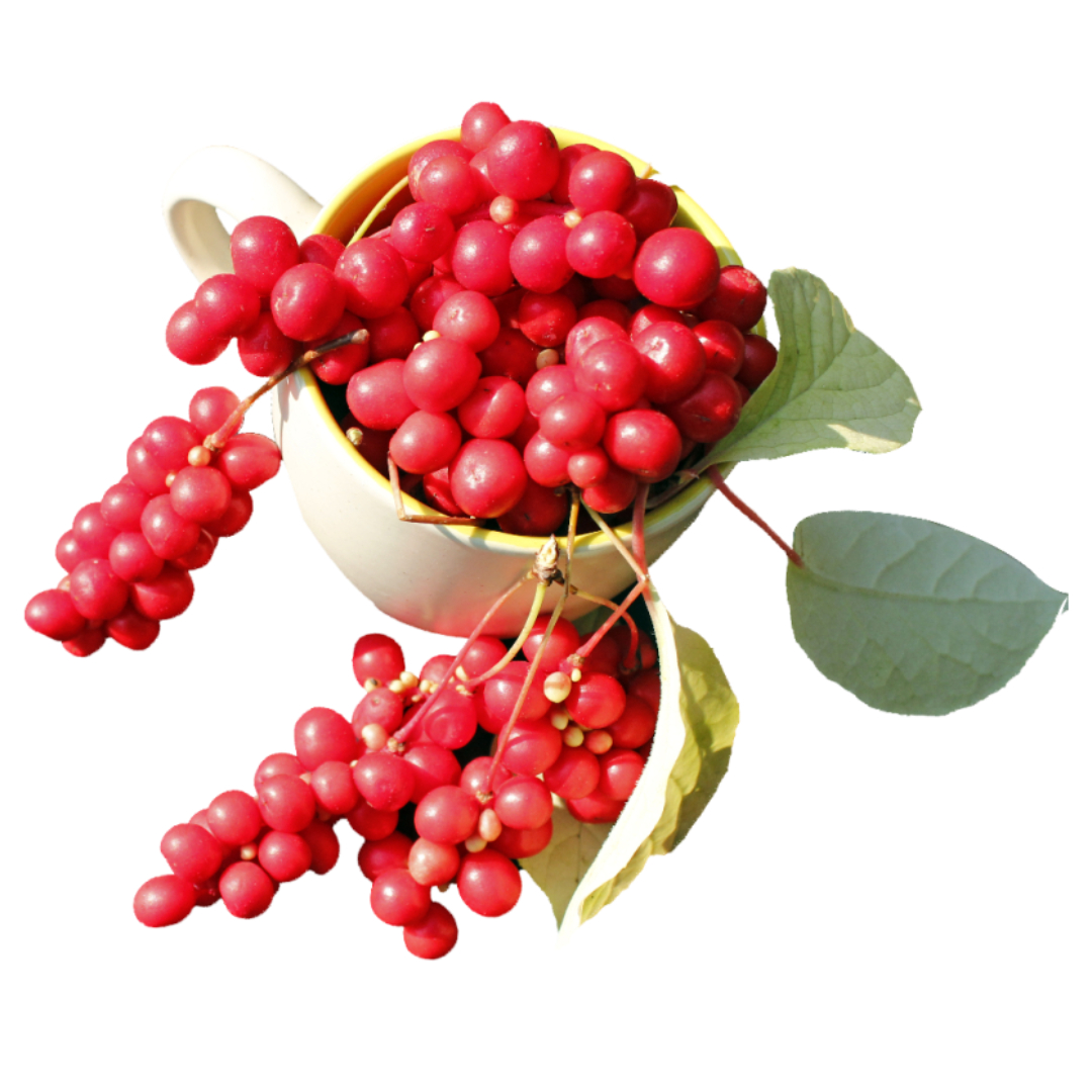 오미자청과 관련된 사진입니다.