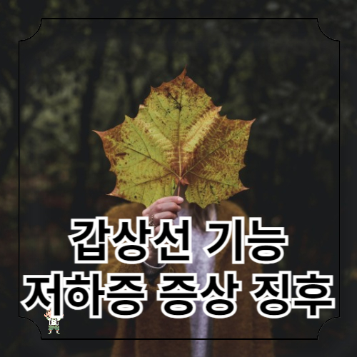 갑상선 기능 저하증 증상