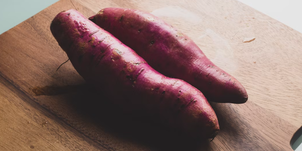 강아지 고구마 먹으면 안되는 이유 5